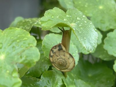 休憩