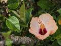 IMG_20250427_180535