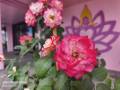 IMG_20250517_095556