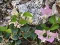 IMG_20250427_181014