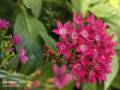 IMG_20250518_171808 (1)