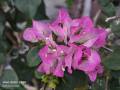 IMG_20250427_180727