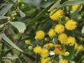 IMG_20250501_125556