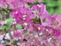 IMG_20250510_082221